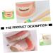 Shop Minkissy 1 Set Early Dental Education Toy - 3D Puzzle Tooth Model for Kids | Fun Role Playing Dental Care Toy - Buy Online on GoSupps.com