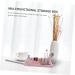 Ipetboom 1pc Storage Box Portable Storage Rack Acrylic 30x28cm - Buy Online on GoSupps.com