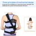 Back Correction Bracket | Thoracolumbar Brace for Scoliosis & Spine Pain Relief | Adjustable Lumbar Orthosis - Buy Online on GoSupps.com