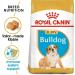 Royal Canin Dog Food Bulldog Puppy 12Kg - Buy Online on GoSupps.com