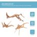 POPETPOP Aquarium Driftwood Branches- 3pcs Aquarium Driftwood for Reptiles Freshwater Terrarium Decor Reptile Tank Accessories Spiderwood for Aquarium - Buy Online on GoSupps.com