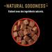 Cesar Barquettes Natural Goodness Terrine Wet Dog Food 4 Varieties Pack of 24 trays x 100 g - Buy Online on GoSupps.com