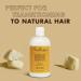 SheaMoisture Raw Shea Butter Shampoo 13 oz - Hydrating Shampoo for Dry, Damaged, or Transitioning Hair (2 pack - 13 Fl Oz each) - Buy Online on GoSupps.com