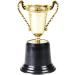 Pack of 12 Bulk 5 Inch Gold Award Trophy Cups - Plastic Trophies for Parties, Rewards, Prizes - Ideal for Kids and Adults by Bedwina - Buy Online on GoSupps.com