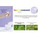 Buy DAYBE Calming Moisturizing Toner Pads | 100 Soothing Cotton Pads with Super Centella & 6 Hyaluronic Acids - International Shipping Available - Buy Online on GoSupps.com