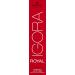 Schwarzkopf IGORA Royal 9-4 Extra Light Blonde Beige Hair Color - 60ml | International Shipping Available - Buy Online on GoSupps.com