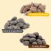 MURGERBON Flavored Almonds 3 Pack - Tiramisu, Cookies and Cream, Honey Butter Almond | Korean Snacks for Kids & Adults | Office Snacks - Sweet & Flavorful - Buy Online on GoSupps.com