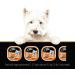 CESAR Adult Wet Dog Food Classic Loaf in Sauce Entr es - Chicken 100g Tray (24 Pack) Chicken 100 g (Pack of 24) - Buy Online on GoSupps.com