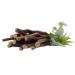 100% Natural Licorice Root Chew Sticks, Cherry Flavored, Organic, Help Quit Smoking, Whiten Teeth, Freshen Breath and Suppress Appetite