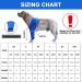 Dogs Recovery Suit - Cone Collar Alternative Abrasion-Resistant Waterproof Washable | Prevents Licking & Infection (Blue M) - Best for Pet Wounds - Buy Online on GoSupps.com