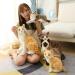 Hpory Cat Soft Toy Simulation Cat Plushie Cute Plush Cat Doll Realistic Cat Soft Plush Faux Plush Kitten Toy Pet Animal Photography Prop Room Home Decoration Companion Pets Toy Gift for Kids Orange Cat - 30cm - Buy Online on GoSupps.com