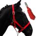 Halter for horses with rope | Lead rope horse halter | Halter pony thoroughbred full X-Full with rope (red pony) red pony