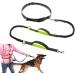 Pecco Hand Free Dog Lead Dog Walking Belt Ajustable Dog Leash Waist Belt Pet Dog Leash Coupler Running and Jogging Lead Belt with Retractable Bungee - Buy Online on GoSupps.com