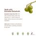 Hanalei Kukui Body Lotion - Cruelty-Free, Paraben-Free, Dye-Free Moisturizer with Kukui Nut Oil, Shea Butter, Jojoba Oil - Made in USA - 6.76 Fl Oz - Buy Online on GoSupps.com