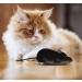 Nicwhite Interactive Remote Control Mouse Cat Toy - Wireless Electronic Pet Hunting Toy | Movable Black - Buy Online on GoSupps.com