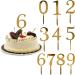 Number Cake Topper 0-9 Birthday Cake Toppers Happy Anniversary Cake Topper Personalised Cake Topper Gold Cake Decorations Acrylic Cake Topper Personalised for Birthday Party Mariage DIY Cake