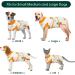 Kuoser Dog Recovery Suit for Male Dogs - Post-Op Body with Leakage Protection Breathable Anti-Licking Design - Orange L (1 Pack) - Buy Online on GoSupps.com