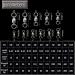 AMYSPORTS High Strength Stainless Steel Ball Bearing Swivels Connector - Size 5 (143lb) 25 pcs - Solid Welded Rings for Saltwater and Freshwater Fishing - Buy Online on GoSupps.com