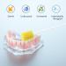 Argomax Oral Care Sponges - 50 Pcs Yellow Mouth Swabs for Hygiene & Cleaning | Foam Mouthpiece Swabs - Buy Online on GoSupps.com