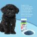 Doggie Dust Grooming Powder - Easy Brushing Solution for Dog Mats and Tangles - Buy Online on GoSupps.com