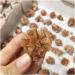 Stone Crafts Natural Beautiful Flowery Orange Aragonite Crystal Cluster Specimen Reiki Crystals - Buy Online on GoSupps.com