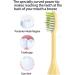 4 Pack Mango Replacement Brush Heads for HY1100 and HY1200 Philips One Sonicare Electric Toothbrushes - Buy Online on GoSupps.com