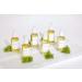 HERBIVORE Body Collection | Vegan Jasmine Body Oil | Plant-Based & Cruelty-Free Skincare - Buy Online on GoSupps.com