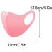 6PC Earloop Ice Silk Face_Masks Outdoor Dustproof Haze and Breathable fashion Cycling Mouth Cover Face Protection Pink As shown - Buy Online on GoSupps.com