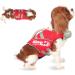 Zooland Dog Life Jacket | Durable & Adjustable Buoyancy Vest for Small Medium & Large Dogs - Reflective Safety Red - Buy Online on GoSupps.com