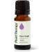 Plant Therapy Organic Lavender & Clary Sage Essential Oils for Diffusion 10 mL (1/3 oz) Each, 100% Pure, Undiluted, Natural Aromatherapy for Skin, Hair & Nails - Buy Online on GoSupps.com