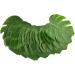 TOPBATHY Personalized Gifts 48pcs Household Decorative Items Personalised Gifts Green Medium - Buy Online on GoSupps.com