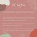 SCALPA Professional Lash Lift & Brow Lamination Kit - Semi-Permanent Eyelash & Eyebrow Perm Set - Buy Online on GoSupps.com