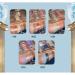 Huazhixiao Moonlight Mermaid Series 5 Color Eyeshadow Palette - Pigmented Multichrome Shades - Buy Online on GoSupps.com