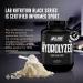 Buy 100% Hydrolyzed Whey Protein Isolate (2 lbs Vanilla) - 25g Protein for Muscle Growth Easy Digestion Gluten & Lactose Free Fast Absorbing - Buy Online on GoSupps.com