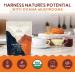 Ohana Turkey Tail Organic Mushrooms Powder Blend USDA-Organic Whole Food Mushroom Supplement Non-GMO Gluten-Free 1 lb Bag Pack of 1 Turkey Tail Powder 16 Ounce (Pack of 1) - Buy Online on GoSupps.com