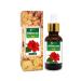 Hibiscus Oil (Hibiscus Sabdariffa L) Therapeutic Essential Oil by Salvia Amber Bottle 100% Natural Uncut Undiluted Pure Cold Pressed Oil (1.01 floz with dr)
