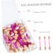 Healeved 500 Pcs 5 Boxes Dual Sided Eyeshadow Sponge Non Latex Eyeshadow Eye Shadow Sponge - Buy Online on GoSupps.com