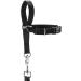 Follow Me M Black Training Harness - Premium Quality for Dogs | International Shipping Available - Buy Online on GoSupps.com