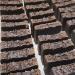 Smoke Jumper Pine Tar Soap - Eco-Friendly Vegan Castile Bar - Handmade All-Natural Premium Soap by Nature's Apothecary - Hypoallergenic & Plant-Derived - Buy Online on GoSupps.com