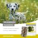 Alfavet Hepatosan 1600 | Liver Support Supplement for Dogs | 120 Tablets | Enhance Liver Function with Distula Thistle | Buy Now! - Buy Online on GoSupps.com