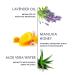Naturopathica Lavender & Manuka Honey Balancing Mist (4.0 oz) - Vegan Facial Toner for Balancing, Moisturizing, Calming, and Refreshing Skin - Made in USA - Buy Online on GoSupps.com