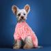 Fleece Dog Pajamas | Winter Onesies for Small Dogs | Pink Jumpsuit for Chihuahua, Yorkie | X-Small (Bust 9.84in) | Male Female Puppy Clothes - Buy Online on GoSupps.com