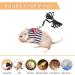 Small Animal Harness Velcro Hamster Harness and Leash Set for Walking Small Animal Chest Straps for Bunny Rabbits Ferret Guinea Pig Chinchilla Puppy Kitten Harness(S) - Buy Online on GoSupps.com