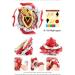 Obest 2 Whirlwind Gyros & Launchers - Burst Turbo Bey Battle Tops - Perfect Kids' Halloween/Christmas Gifts - Buy Online on GoSupps.com