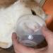 Dog Inhaler Mask for Cats & Small Dogs | Oxygen Mask for Pets | Fast International Shipping - Buy Online on GoSupps.com