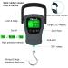 Fishfun 110lb/50kg Digital Hanging Fishing Luggage Scale with Tape Measure - Father's Day Gift - Buy Online on GoSupps.com