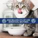 Under the Weather Cat Supplement Powder | Vet-Formulated Probiotic for Feline Health - Buy Online on GoSupps.com