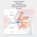 Tongue Exerciser 4pcs Kids Tongue Exerciser Tongue Tip Exerciser Safe Tongue Muscle Strength Training Portable Mouth Lip Muscle Recovery Tool Oral Motor Therapy Tool for - Buy Online on GoSupps.com