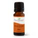 Plant Therapy Sweet Orange Essential Oil 100% Pure Undiluted Natural Aromatherapy Therapeutic Grade 10 mL (1/3 oz)