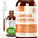 Rejuvica Health Active Ashwagandha - Advanced Liquid Supplement - Withania Somnifera Extract - Ashwagandha Roots Only - Naturally Occurring Withanolides 2 Fl Oz (Pack of 1)